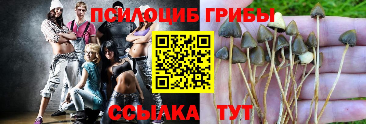 Псилоцибиновые грибы ЛСД Новосибирск