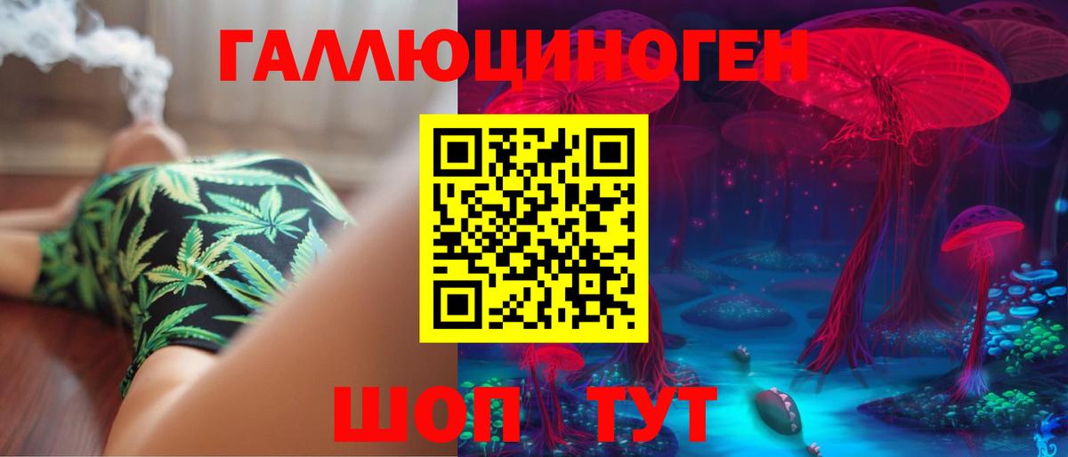 Новосибирск  Галлюциногенные грибы прущие грибы  Вход с VPN 
